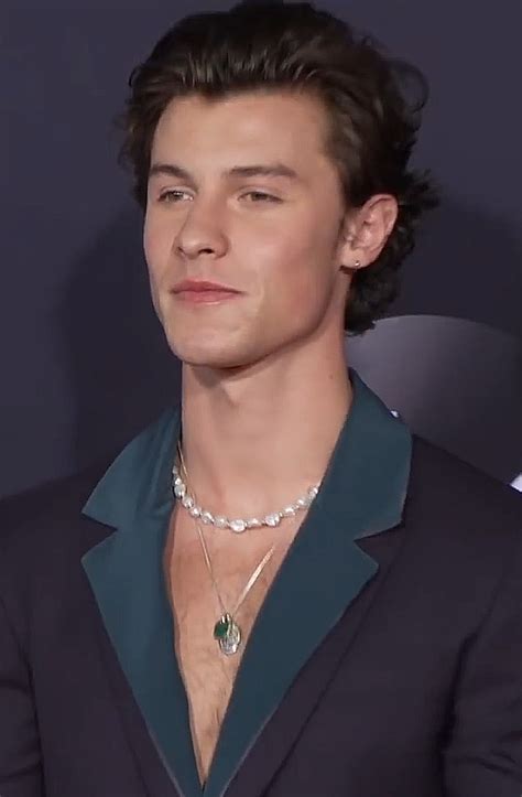 shawn mendes wikipedia|shawn mendes 40 year old.